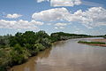 Rio Grande River Bed