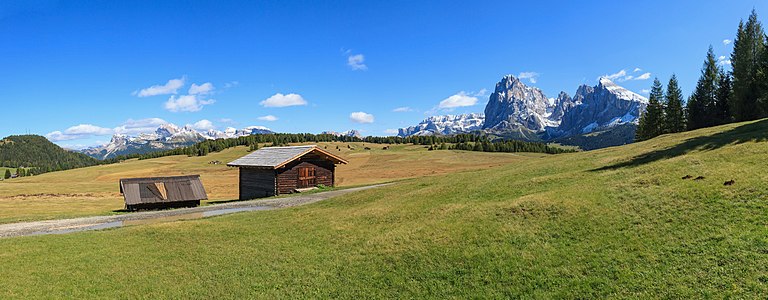 Seiser Alm South Tyrol