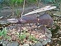 Escultura de una hormiga voladora en el jardín botánico La Concepción, 2023-02-12.