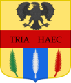 D'oro alla fascia di rosso caricata dal motto TRIA HAEC, ed accompagnata nel capo da un'aquila di nero al volo abbassato, e nella punta da un palo d'azzurro caricato da una foglia di palma d'argento accompagnata alla sua volta da altre due uguali foglie, una di verde e l'altra di rosso