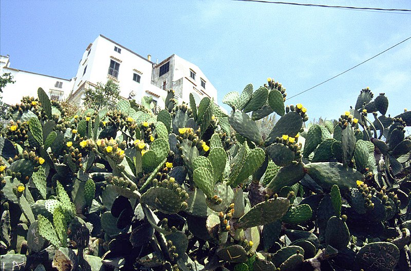 File:Sperlonga01.jpg