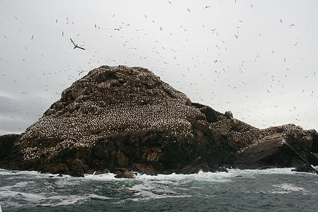 Reserva Natural de las 7 Islas (Bretaña, Francia)