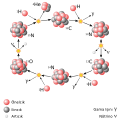 tr (Turski)