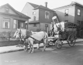 Garbage wagon, Seattle, 1915