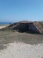 image=https://upload.wikimedia.org/wikipedia/commons/2/24/Pillbox_Cap.jpg