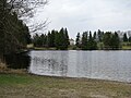 Am Lugenauer See bei Böbing