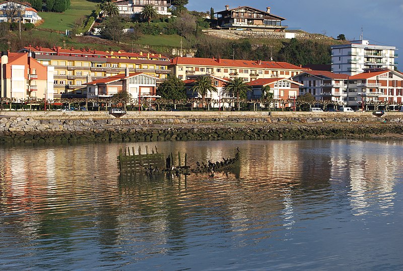 File:Zumaia Cormorans.jpg