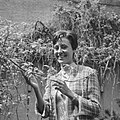 Caterina Valente