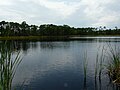 Mullet Pond