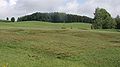 Liparis loeseliiPrimulo-Schoenetum Germany - Oberschwaben