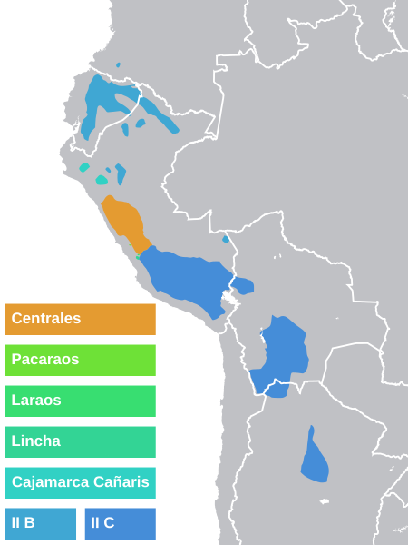 File:Quechua (subgrupos).svg