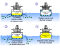 Ballast water pollution from ships