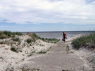 Stranden ved Bisnap, Hals