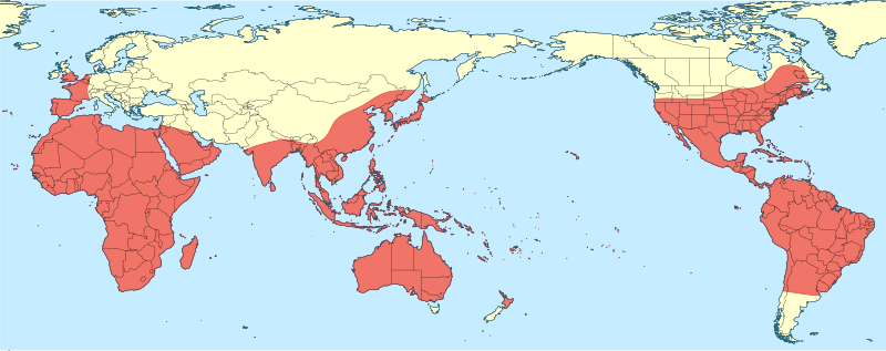 File:Pantala flavescens distribution map.svg