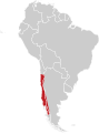 Drosophila appendiculata distribution