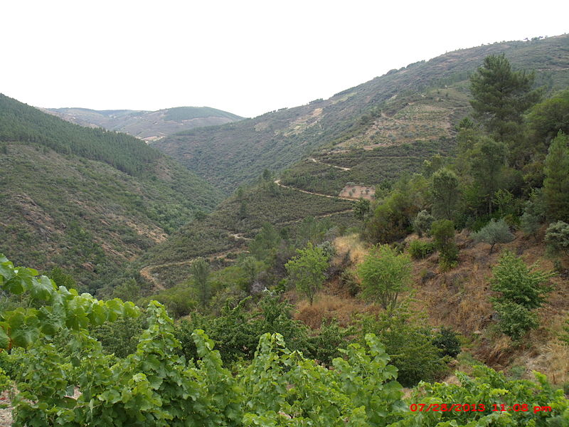 File:Tras-dos-Montes.JPG