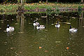 Bois de Boulogne, Paris