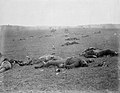 Dead soldiers at the Battle of Gettysburg