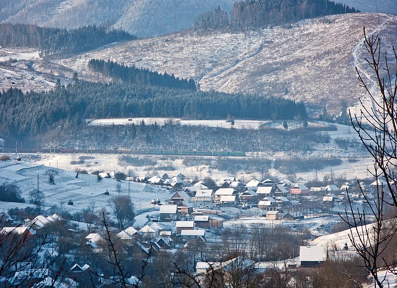 File:Volovets'kyi district, Zakarpats'ka oblast, Ukraine - panoramio - Leonid Andronov (8).jpg