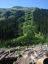 Avalanche chute