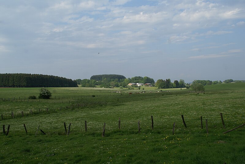 File:Ourt - Vallee de l'Ourthe.jpg