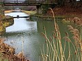 Kanal zwischen Schwarzenbach und Dörlbacher Einschnitt, Januar 2012