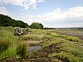 Vieille coque abandonnée et schorre le long de la rive nord de la ria de la Rivière du Faou en amont de Lanvoy.