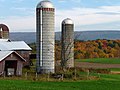 Grain silos in Brunswick