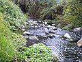 Arroyo de Trofa