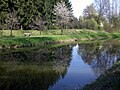 Kanal bei Schwarzenbach, April 2011