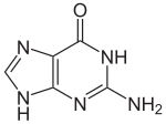 Gambar SVG baru