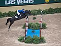 Judy Ann Melchior representing Belgium riding Grande Dame Z