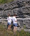 Ordovician limestones, Tennessee.