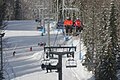 Alpine skiing in Krasnaya Polyana