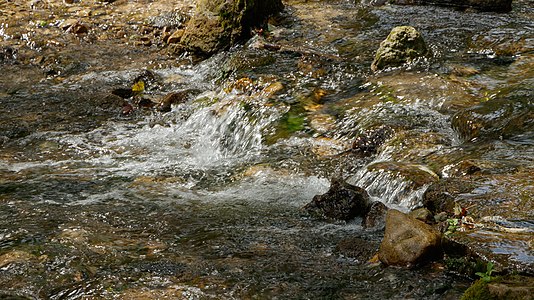 Gauchach Gemeinde Wutach