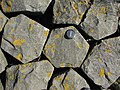 Basalt blocks