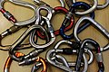 Screwgate carabiners