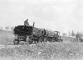 Freight wagons in the Yukon