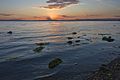 * Nomination Sunset at Aggelochori, Greece. (by Mikesagan) --C messier 11:56, 28 May 2017 (UTC) * Decline There something very strange with this image, it seems that two different pictures have been pasted together. Please observe the waterline and the island on the right. --Basotxerri 15:56, 30 May 2017 (UTC)