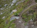 Mount Baker Wilderness, Washington