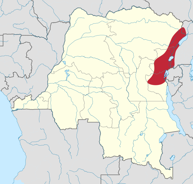 File:East Congo conflict map.svg