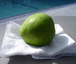 A green D'Anjou pear