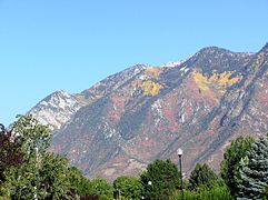 View from my driveway in Autumn