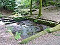 Le site des Trois fontaines, au sud de l'étang du Hénan : vue d'ensemble 2.