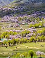 View of Chunda Valley, Skardu, Indus Valley