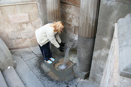 Lion's fountain