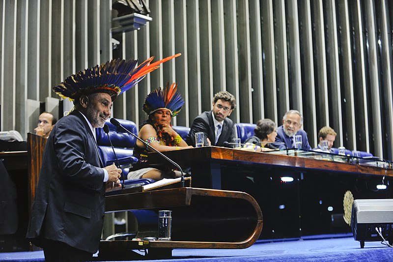 File:Plenário do Senado (16990997169).jpg