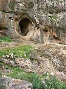 Skhul cave