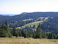 Deutsch: Skistrecke Grafenmatt vom Feldberg bzw. Seebuck aus gesehen