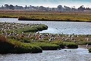 Baylands Nature Preserve